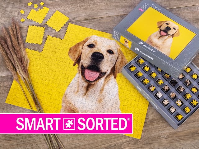 nuevo y exlusivo: SMART SORTED